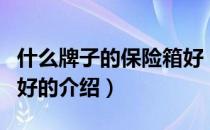 什么牌子的保险箱好（关于什么牌子的保险箱好的介绍）
