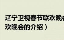 辽宁卫视春节联欢晚会（关于辽宁卫视春节联欢晚会的介绍）