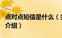点对点短信是什么（关于点对点短信是什么的介绍）