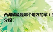 西湖醋鱼是哪个地方的菜（关于西湖醋鱼是哪个地方的菜的介绍）