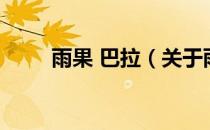 雨果 巴拉（关于雨果 巴拉的介绍）