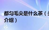都匀毛尖是什么茶（关于都匀毛尖是什么茶的介绍）