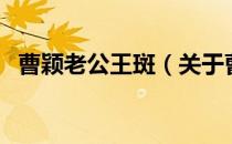 曹颖老公王斑（关于曹颖老公王斑的介绍）