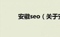 安徽seo（关于安徽seo的介绍）