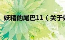 妖精的尾巴11（关于妖精的尾巴11的介绍）