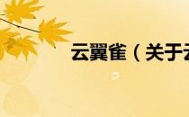 云翼雀（关于云翼雀的介绍）