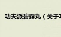功夫派碧露丸（关于功夫派碧露丸的介绍）