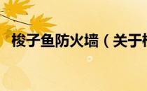 梭子鱼防火墙（关于梭子鱼防火墙的介绍）