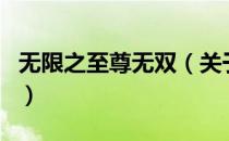 无限之至尊无双（关于无限之至尊无双的介绍）