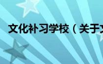 文化补习学校（关于文化补习学校的介绍）