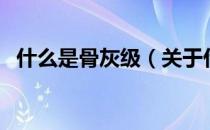 什么是骨灰级（关于什么是骨灰级的介绍）