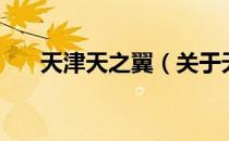 天津天之翼（关于天津天之翼的介绍）