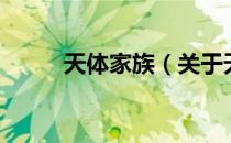 天体家族（关于天体家族的介绍）