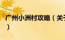 广州小洲村攻略（关于广州小洲村攻略的介绍）