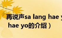 再说声sa lang hae yo（关于再说声sa lang hae yo的介绍）