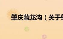 肇庆藏龙沟（关于肇庆藏龙沟的介绍）