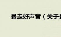 暴走好声音（关于暴走好声音的介绍）