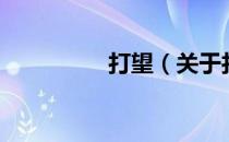 打望（关于打望的介绍）