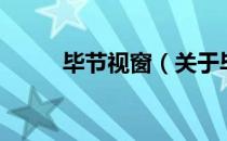 毕节视窗（关于毕节视窗的介绍）