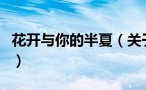 花开与你的半夏（关于花开与你的半夏的介绍）
