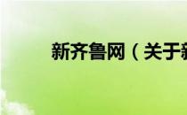 新齐鲁网（关于新齐鲁网的介绍）
