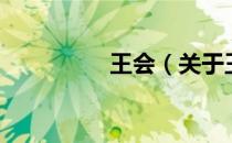 王会（关于王会的介绍）