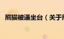 熊猫被逼坐台（关于熊猫被逼坐台的介绍）