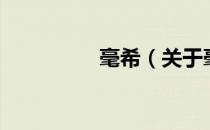毫希（关于毫希的介绍）