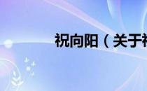 祝向阳（关于祝向阳的介绍）