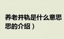 养老并轨是什么意思（关于养老并轨是什么意思的介绍）