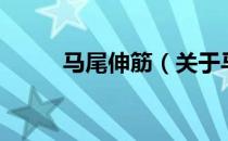 马尾伸筋（关于马尾伸筋的介绍）