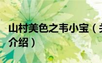 山村美色之韦小宝（关于山村美色之韦小宝的介绍）