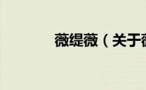 薇缇薇（关于薇缇薇的介绍）