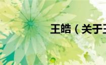 王皓（关于王皓的介绍）
