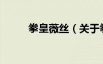 拳皇薇丝（关于拳皇薇丝的介绍）