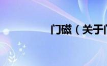 门磁（关于门磁的介绍）