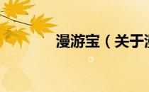 漫游宝（关于漫游宝的介绍）