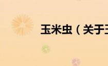 玉米虫（关于玉米虫的介绍）