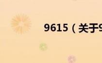 9615（关于9615的介绍）