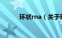 环状rna（关于环状rna的介绍）