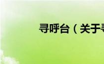 寻呼台（关于寻呼台的介绍）