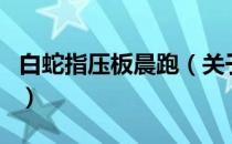 白蛇指压板晨跑（关于白蛇指压板晨跑的介绍）