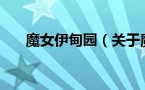 魔女伊甸园（关于魔女伊甸园的介绍）