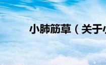 小肺筋草（关于小肺筋草的介绍）
