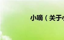小嘀（关于小嘀的介绍）