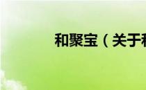 和聚宝（关于和聚宝的介绍）