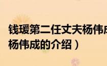 钱瑗第二任丈夫杨伟成（关于钱瑗第二任丈夫杨伟成的介绍）