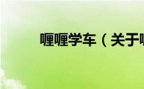 喱喱学车（关于喱喱学车的介绍）