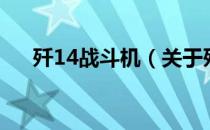 歼14战斗机（关于歼14战斗机的介绍）