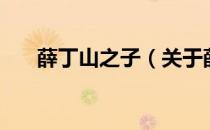 薛丁山之子（关于薛丁山之子的介绍）